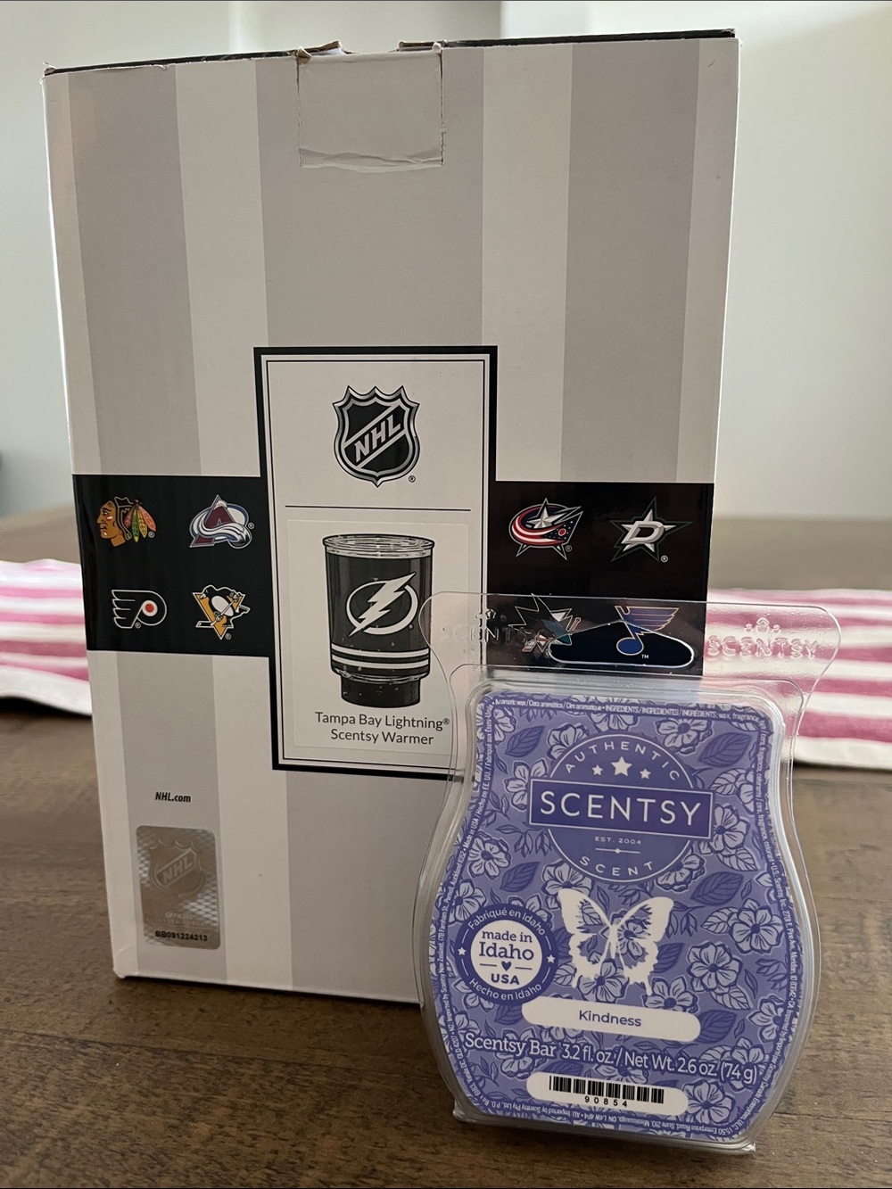 Scentsy NHL Tampa Bay Lightning Warmer with Kindness Scentsy Bar